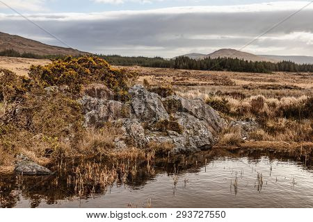 Conemara Lake And Bog With Mountains In Background