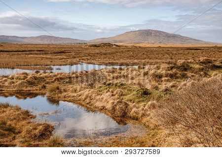 Conemara Bogs With Mountains In Background
