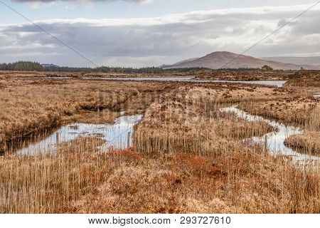 Conemara Bogs With Mountains In Background