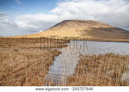 Conemara Bogs With Mountains In Background
