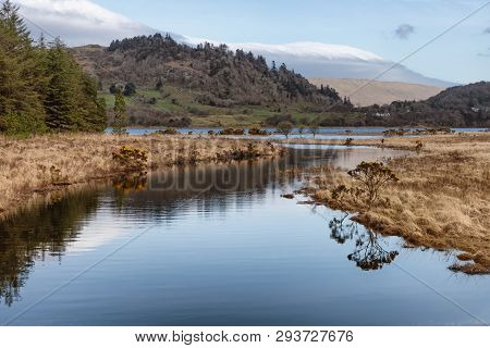 Forest And Vegetation At Western Way Trail In Lough Corrib