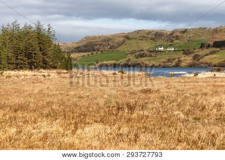 Farm, Forest And Vegetation At Western Way Trail In Lough Corrib