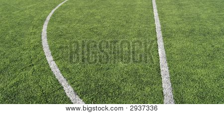Soccer Field