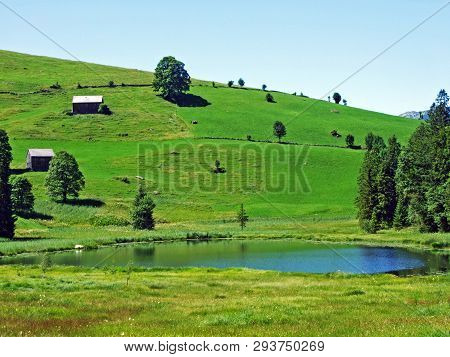 The Smaller Lake Schwendisee (hinter Schwendisee), Wildhaus - Canton Of St. Gallen, Switzerland