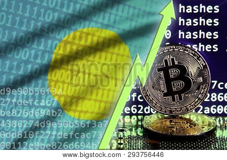 Palau Flag And Rising Green Arrow On Bitcoin Mining Screen And Two Physical Golden Bitcoins