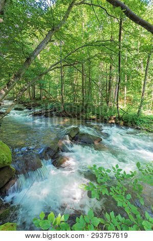 Bank Of The Forest River. Beautiful Summer Nature Scenery. Huge Rocks Form A Cascade On The Creek. T