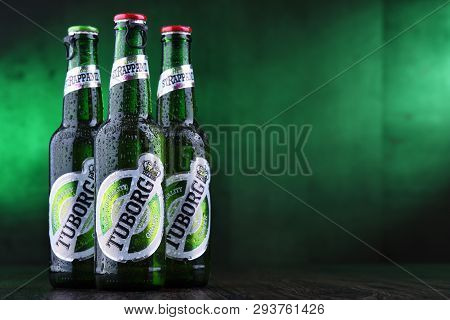 Bottles Of Tuborg Beer