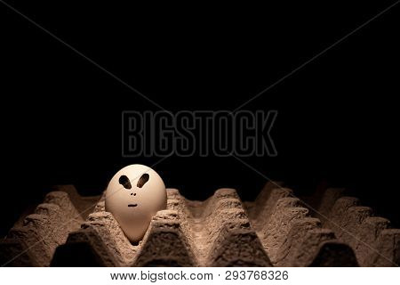 Egg With Alien Face. Conceptual Image Alien Egg. Copy Space.