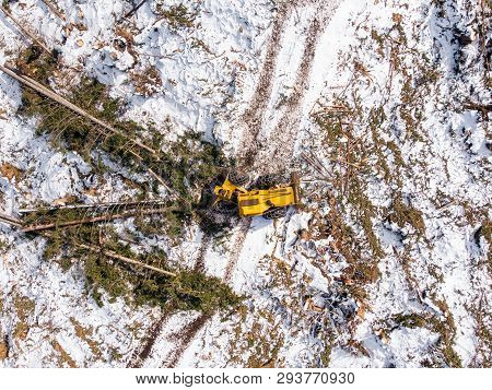 Lumberjack Timber With Modern Harvester Working In Forest. Top View Aerial Photo.