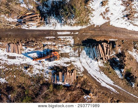 Lumberjack Timber With Modern Harvester Working In Forest. Top View Aerial Photo.