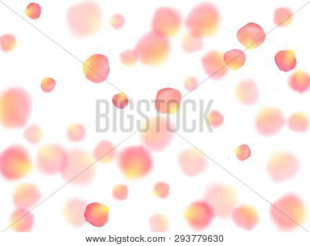 Rose Gold Petals Flying Cosmetics Vector Background. Soft Showering Flower Blooming Parts Vector. Pi