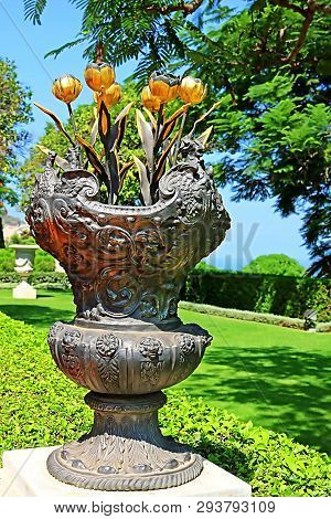 The Bouquet Of Golden Tulips In Vase Decorates The Bahai Garden, Haifa, Israel