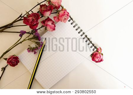 Pencil On Checked Notebook Isolated On White Background