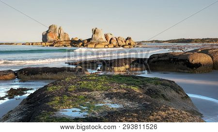 Seaweed Covered Rocks At Picnic Rocks In Tasmania, Australia