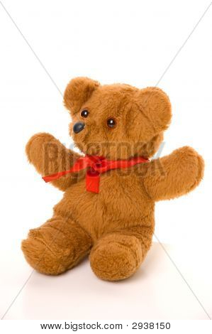 Teddy Bear