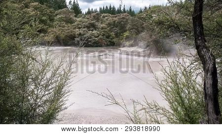 Boiling Mud Pool Framed By Bushes At Rotorua Nz