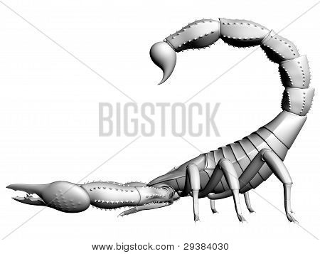 전갈