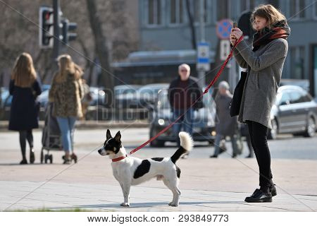 Vilnius, Lithuania - April 06: Unidentified People With Dog In Vilnius Old Town On April 06, 2019 In