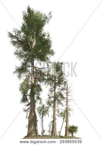 Trees Of The Mesozoic Era Isolated On White Background 3d Illustration
