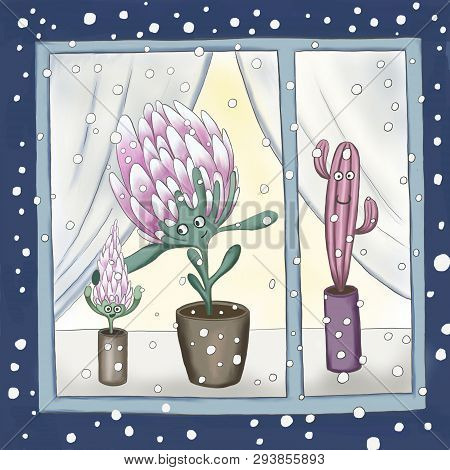 Protea Flowers Mom With Baby In Winter Evening
