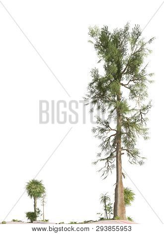 Trees Of The Mesozoic Era Isolated On White Background 3d Illustration