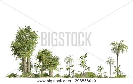 Trees Of The Mesozoic Era Isolated On White Background 3d Illustration