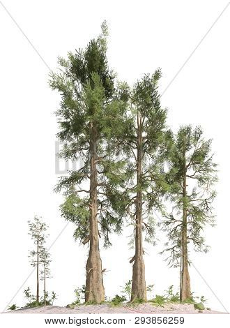 Trees Of The Mesozoic Era Isolated On White Background 3d Illustration