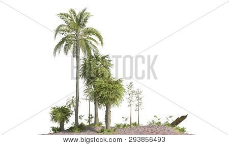 Trees Of The Mesozoic Era Isolated On White Background 3d Illustration