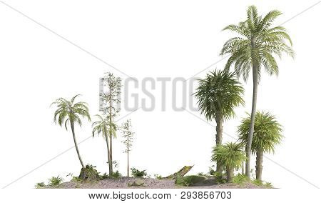 Trees Of The Mesozoic Era Isolated On White Background 3d Illustration