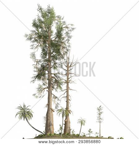 Trees Of The Mesozoic Era Isolated On White Background 3d Illustration