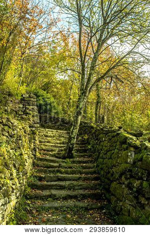 Nature Is Covering The Path For An Ancient Power