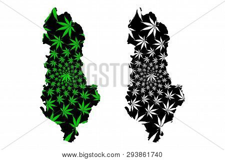 Albania - Map Is Designed Cannabis Leaf Green And Black, Republic Of Albania Map Made Of Marijuana (