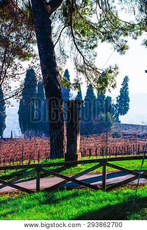 Beautiful Ancient Column In An Italina Park
