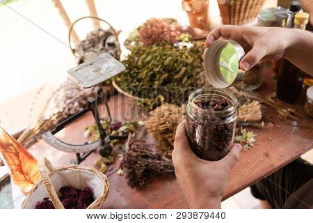 herbalist gardender  small business owner picking gathering fresh herbs for alternative medicine tea and poutting on balance