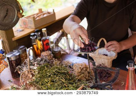 herbalist gardender  small business owner picking gathering fresh herbs for alternative medicine tea and poutting on balance