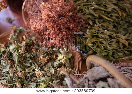 herbalist gardender  small business owner picking gathering fresh herbs for alternative medicine tea and poutting on balance