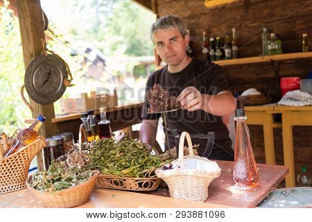 herbalist gardender  small business owner picking gathering fresh herbs for alternative medicine tea and poutting on balance