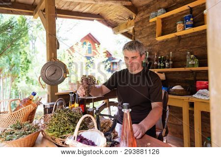 herbalist gardender  small business owner picking gathering fresh herbs for alternative medicine tea and poutting on balance