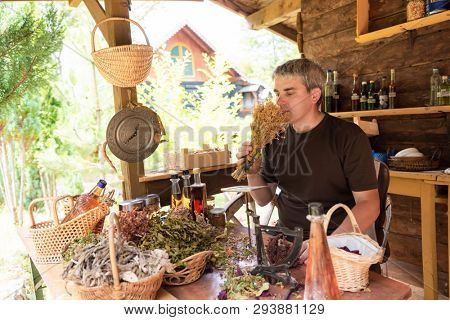 herbalist gardender  small business owner picking gathering fresh herbs for alternative medicine tea and poutting on balance