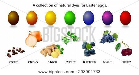 Seven Natural Dyes For Easter Eggs. Vector Image Of Natural Dyes For Easter Eggs.