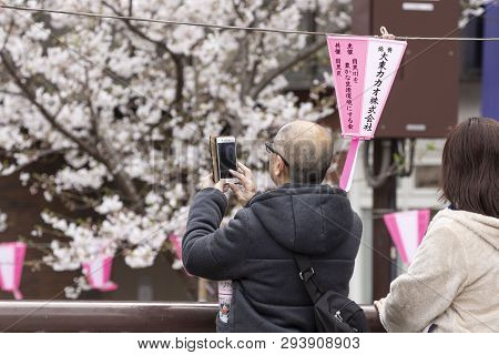 April 02, 2019, Tokyo, Japan - A Man Takes A Picture Of Cherry Blossoms In Nakameguro River.
