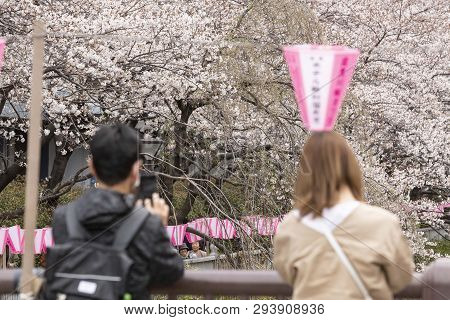 April 02, 2019, Tokyo, Japan - Visitors Enjoy The Cherry Blossoms In Nakameguro River.