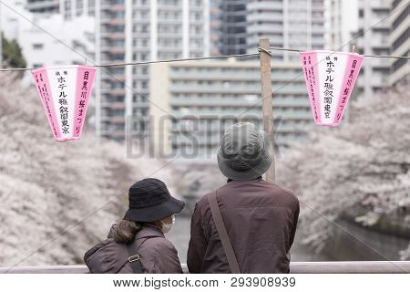 April 02, 2019, Tokyo, Japan - Visitors Enjoy The Cherry Blossoms In Nakameguro River.