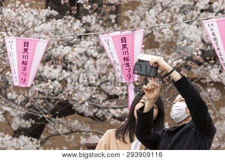 April 02, 2019, Tokyo, Japan - A Man Takes A Picture Of Cherry Blossoms In Nakameguro River.