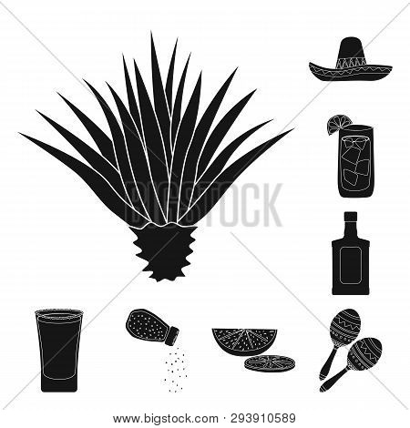 Vector Illustration Of Carnival And National Sign. Set Of Carnival And Tequila Vector Icon For Stock