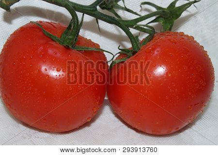 Two Red Medium-sized Tomatoes On A Green Branch Are Placed On A White Background