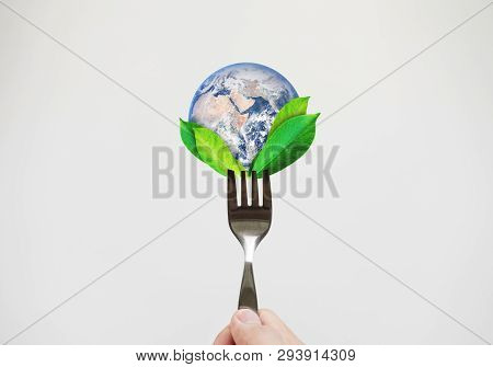 Green Food, Environmental Concept. Hand Holding Fork With Leaves And Globe. Element Of This Image Ar