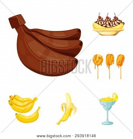 Vector Illustration Of Tropical And Ripe Sign. Collection Of Tropical And Potassium Vector Icon For 