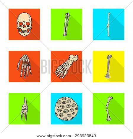 Vector Design Of Bone And Skeleton Symbol. Set Of Bone And Human Stock Symbol For Web.