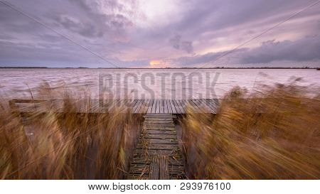 Pier With Waving Reeds In The Wind At Sunset